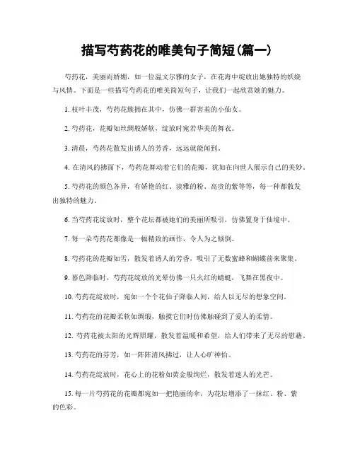 描写芍药花的唯美句子简短(精选合集2篇)