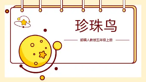 部编版五年级上册语文《珍珠鸟》PPT优质教学课件