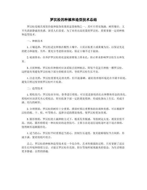 罗汉松的种植和造型技术总结