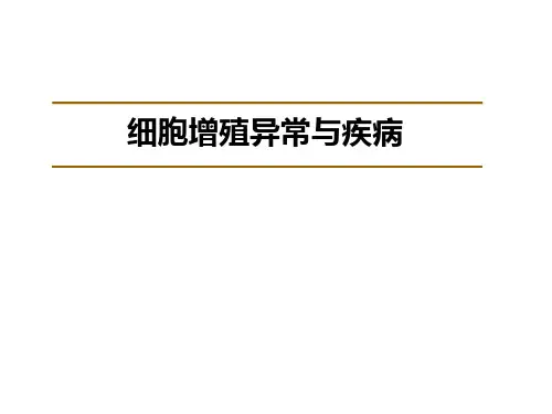 《细胞增殖异常与疾病》课件