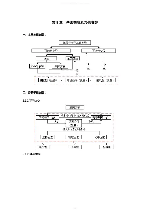 生物必修2-第五章、第六章、第七章知识点框架图