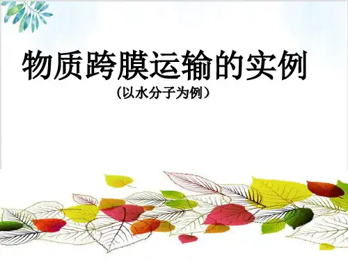 人教生物必修1物质跨膜运输的实例(23张)-PPT优秀课件