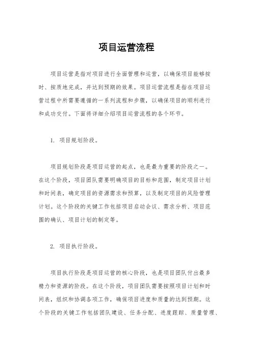项目运营流程