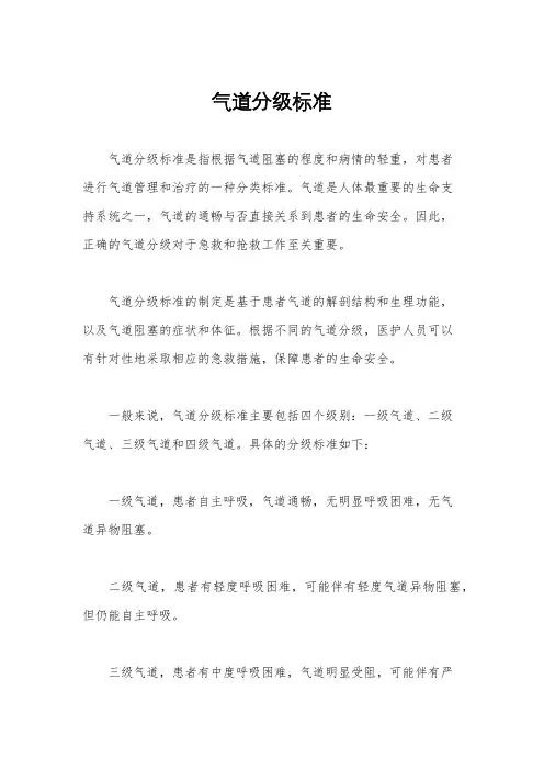 气道分级标准