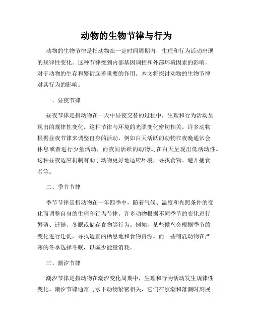 动物的生物节律与行为