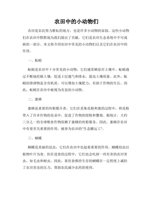 农田中的小动物们