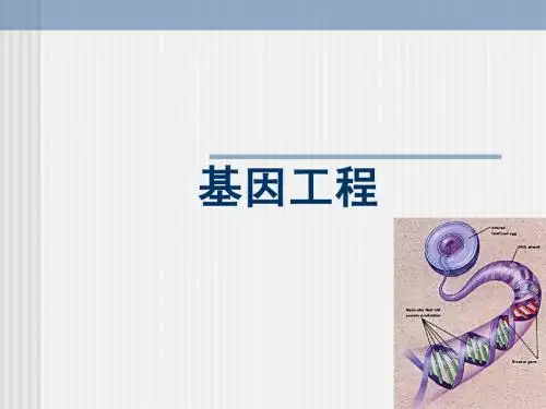 基因工程