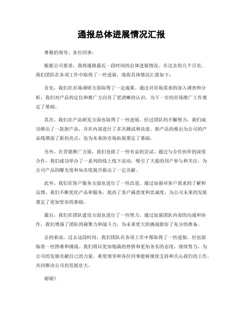 通报总体进展情况汇报