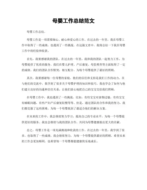 母婴工作总结范文