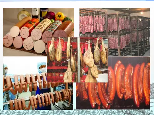《肉制品加工》PPT课件