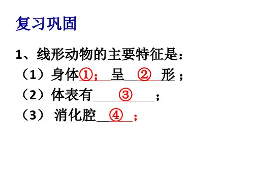 人教版生物八年级上册5.1.3软体动物和节肢动物 课件(共28张PPT)