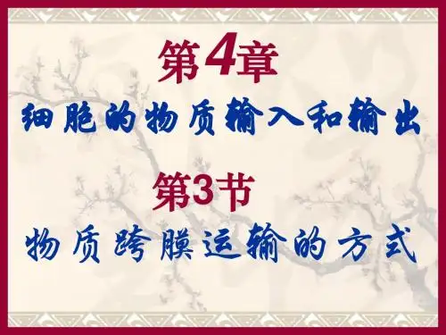 物质跨膜运输的方式ppt25 优秀课件