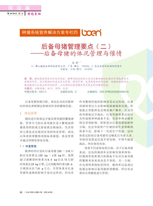 后备母猪管理要点(二)——后备母猪的体况管理与催情