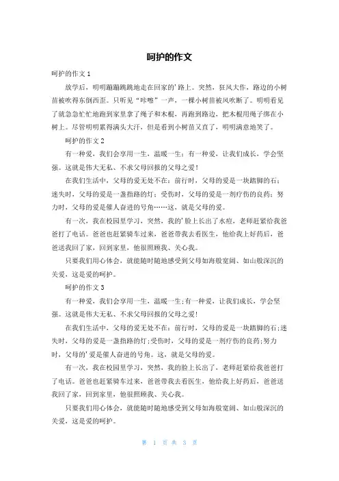 呵护的作文