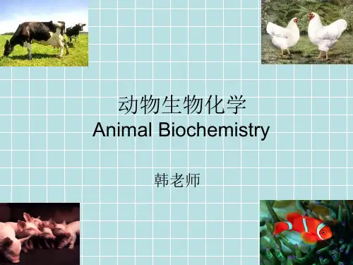 中国农业大学生物化学本科课件 第一章 绪论