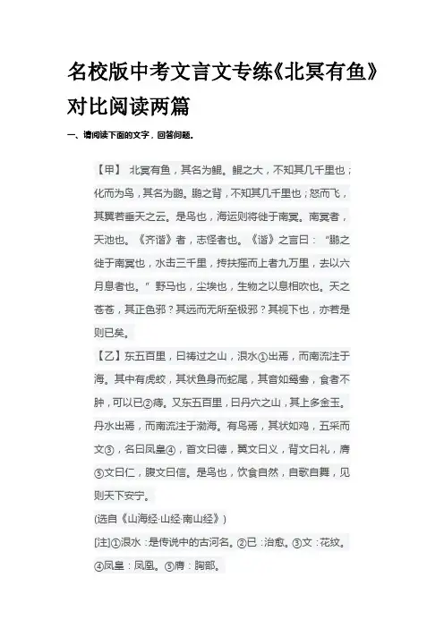 名校版中考文言文专练《北冥有鱼》对比阅读两篇