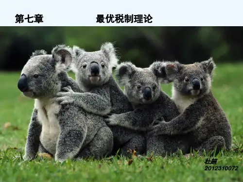 最优税制理论