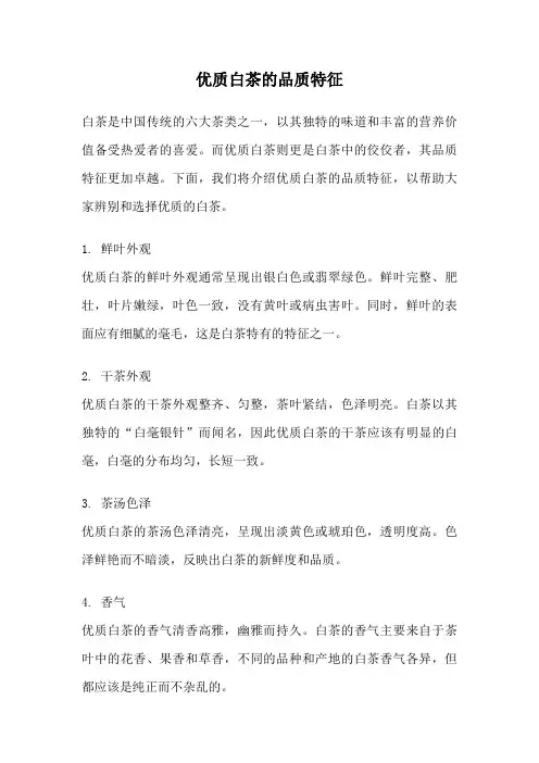 优质白茶的品质特征