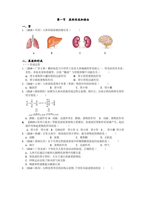 2019年中考生物真题分类：第一节尿的形成和排出【含答案】