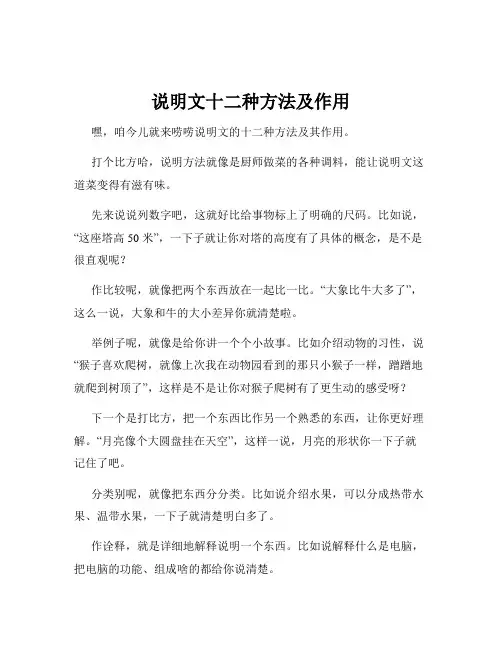 说明文十二种方法及作用