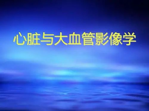 医学影像-循环系统