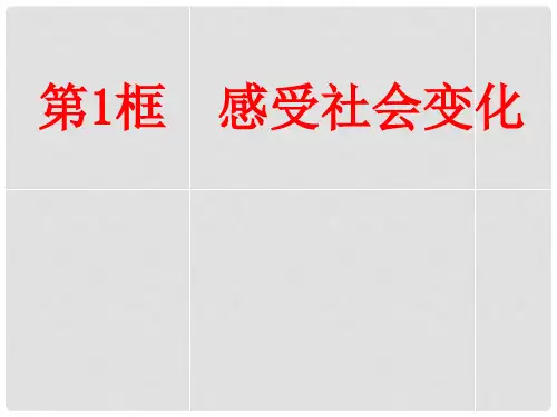 江苏省大丰市第三中学九年级政治全册《第一课第一框 感受社会变化》课件 新人教版