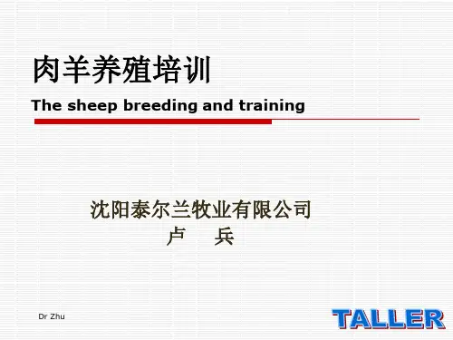 肉羊培训.ppt