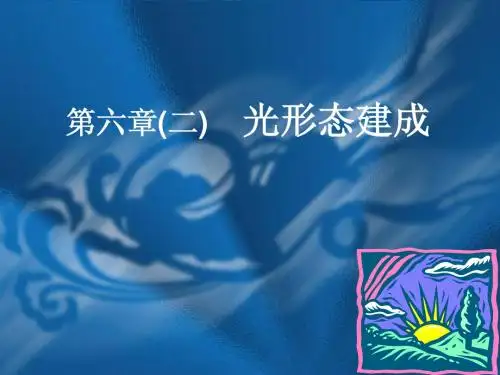8植物生理学课件讲义_第六章(2)