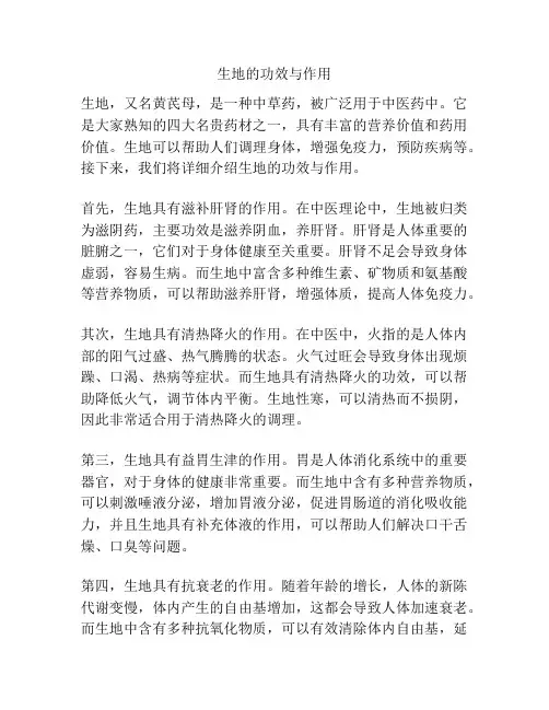 生地的功效与作用