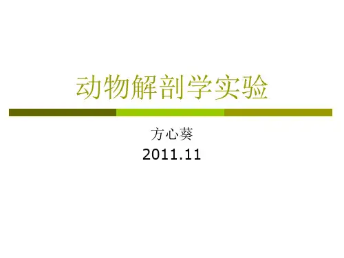 动物解剖学实验 (2)