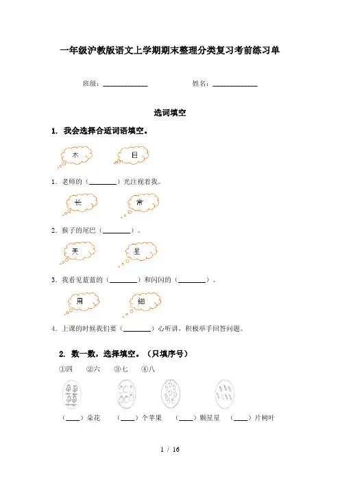 一年级沪教版语文上学期期末整理分类复习考前练习单