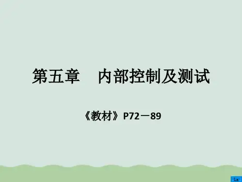 内部控制及测试PPT(共85页)