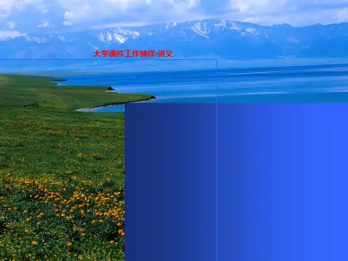 大学课件工作抽样-讲义