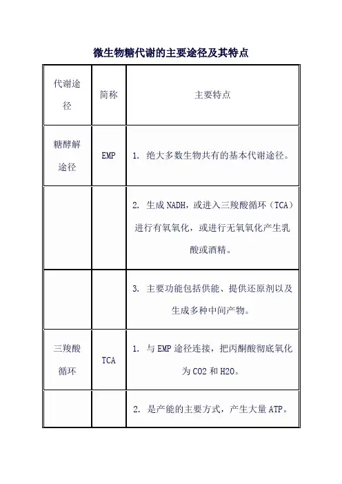 微生物糖代谢的主要途径及其特点