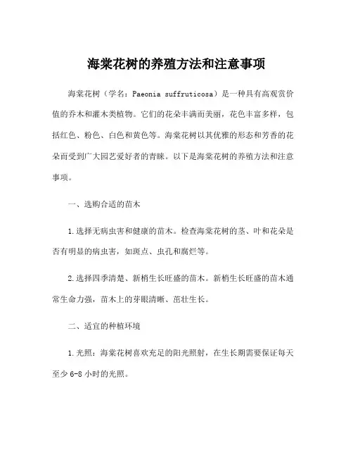 海棠花树的养殖方法和注意事项