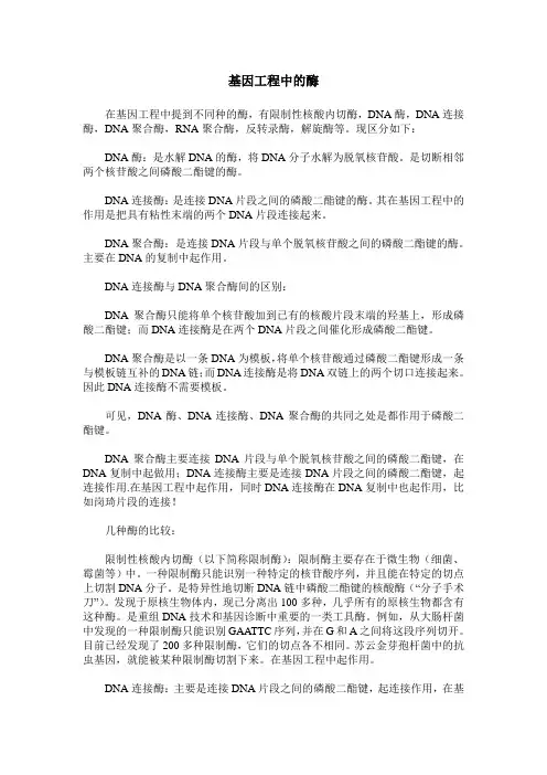 基因工程中的酶