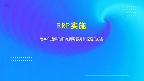 ERP实施 
