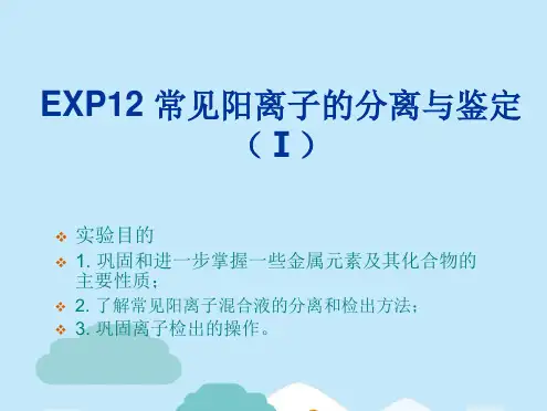 实验十 常见阳离子的分别分析(分析“阳离子”文档)共8张PPT