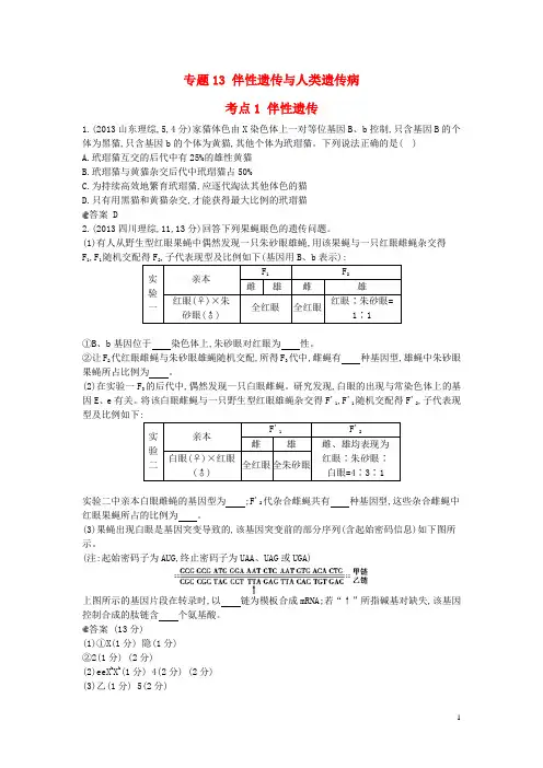 【5年高考3年模拟】(安徽专用)高考生物一轮复习 专题13 伴性遗传与人类遗传病试题(B版)新人教版