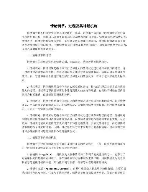 情绪调节：过程及其神经机制