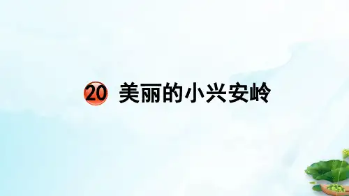 人教部编本三年级上册美丽的小兴安岭