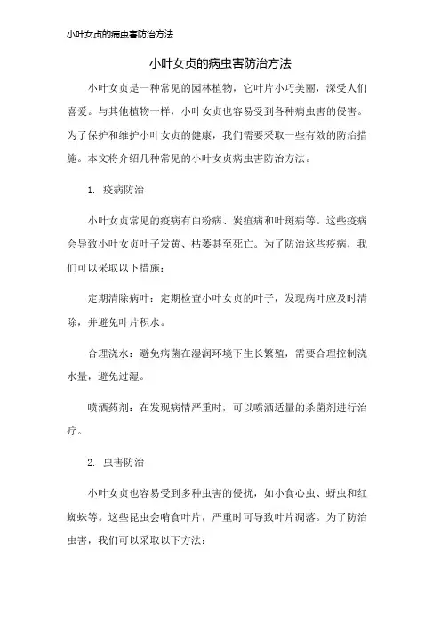 小叶女贞的病虫害防治方法