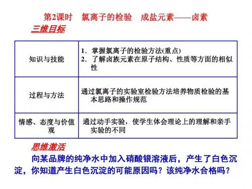 氯离子的检验 成盐元素——卤素 高中化学课件