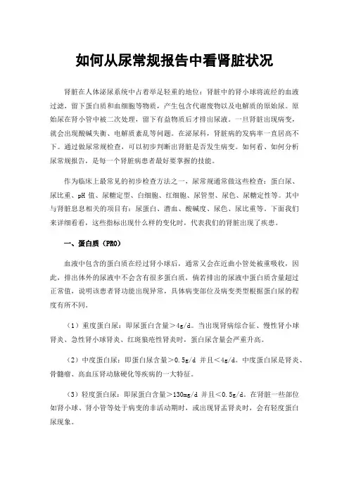 如何从尿常规报告中看肾脏状况
