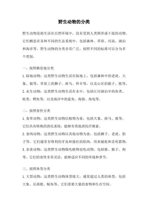 野生动物的分类