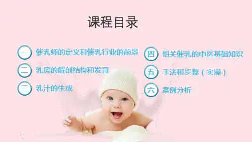 关爱妇婴高级催乳师培训课程行业前景基础知识操作方法案例分析讲课课件PPT模板