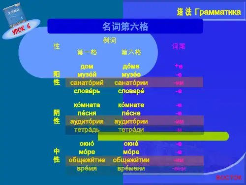 二外俄语第六格