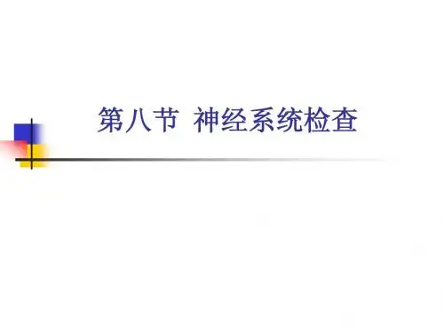 神经系统检查