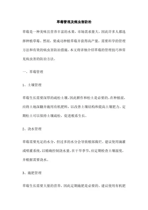 草莓管理及病虫害防治
