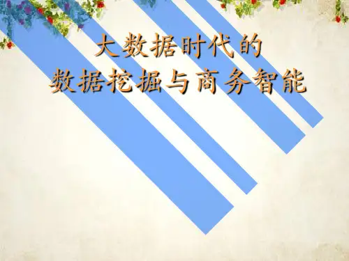 大数据时代的数据挖掘与商务智能(ppt 240页)